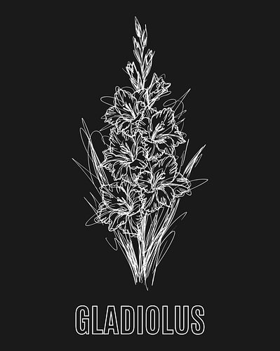 minimalist Gladiolus flower line art poster - black edition