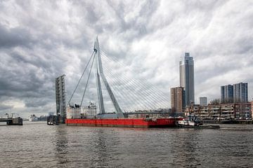 de rivier de Maas in Rotterdam van Tilly Meijer