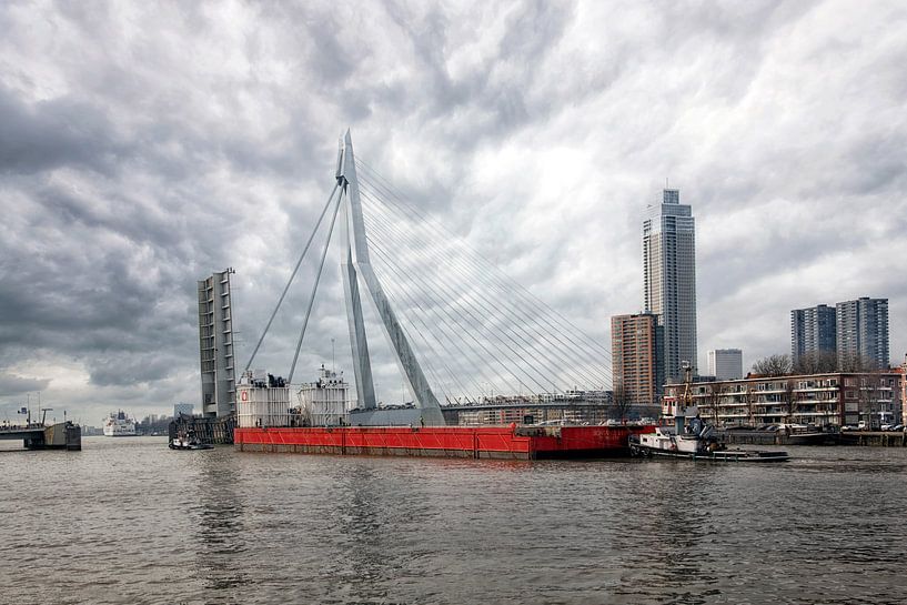 the river Maas in Rotterdam by Tilly Meijer