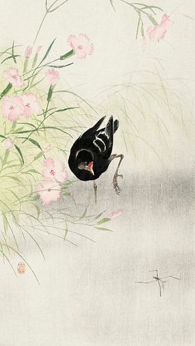 Moorhen at flowering plant (1900 - 1936) by Ohara Koson
