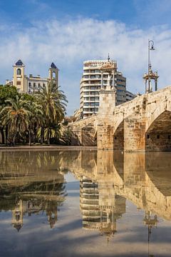 Turia-Garten mit Reflexion in Valencia von Sander Groenendijk