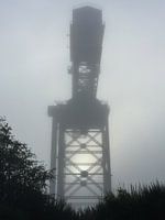 crane in the fog