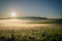 Morgendämmerung an einem Sommertag