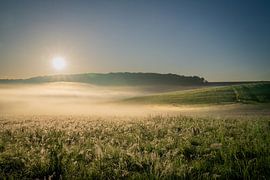 Dawn on a summer's day by Peter Groeneboom