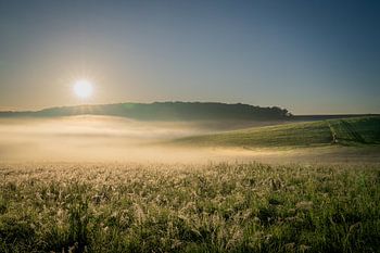 Ochtendgloren op een zomerse dag