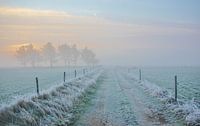 Texel-Landschaft 003