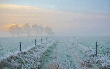 Texel Landschap 003