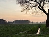 Hollandse pracht op de Brabantse wal 