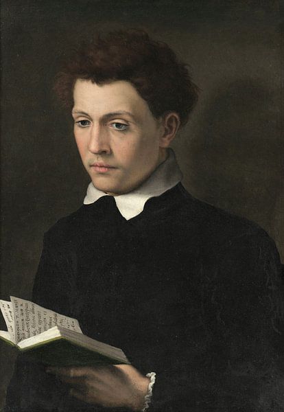 Portrait d'un jeune homme, Sofonisba Anguissola par Des maîtres magistraux