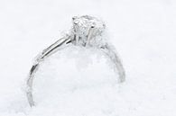Juweeltje in de sneeuw van Klaartje Majoor thumbnail