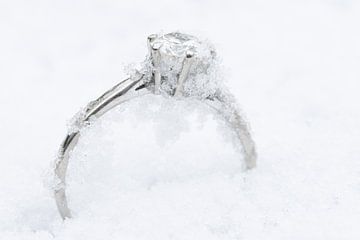 Juwel im Schnee