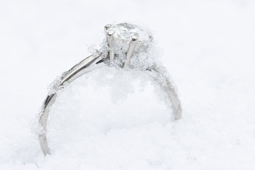 Juweeltje in de sneeuw van Klaartje Majoor