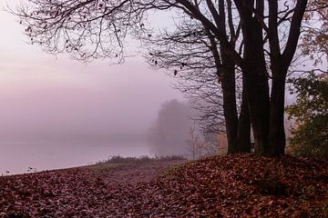 Misty Twilight Tree van William Mevissen