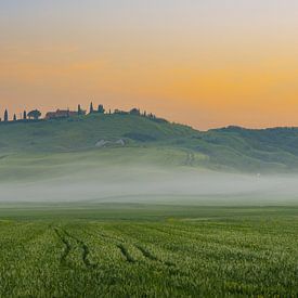 vor Sonnenaufgang in der Crete Senesi von Walter G. Allgöwer