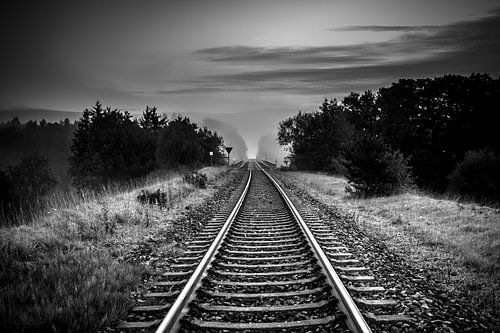 Schwarz Weiss - Ins Ungewisse