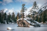 Het begin van de winter aan het bergmeer Lago di Saoseo van Jürgen Schmittdiel Photography thumbnail
