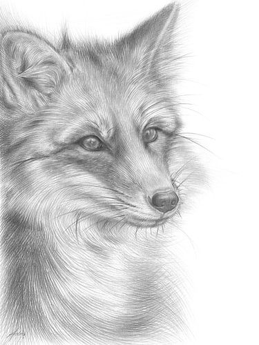 Wachsamer Fuchs von Adriana Müller