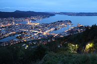 Blick auf Bergen, Norwegen von Sven Zoeteman Miniaturansicht