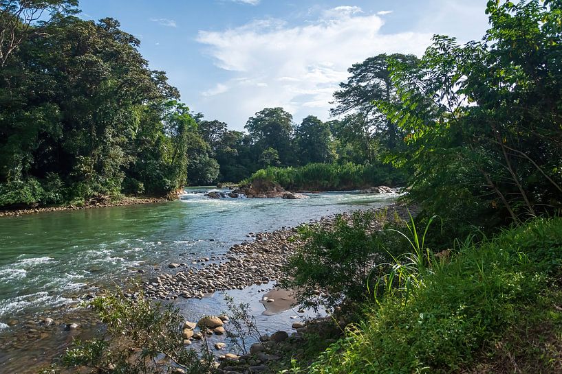 De mooie Sarapiquí Rivier in het Tropisch regenwoud Selva Verde in Costa Rica van Mirjam Welleweerd