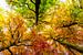Herfstkleuren van Peter Vruggink