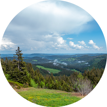 Uitzicht over het Nationaal Park in het Zwarte Woud in Duitsland van Animaflora PicsStock