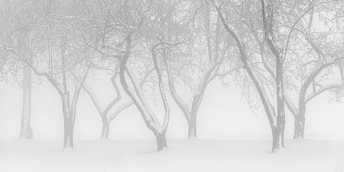 Winter in the Alblasserwaard