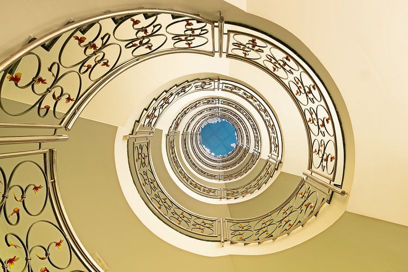 From below! by Truus Nijland