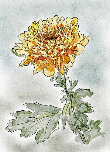Dalia, digitale aquarel met lijn