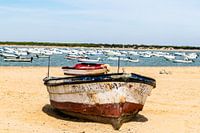 Boat on the beach