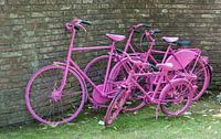 pink painted bikes and old wall van ChrisWillemsen thumbnail
