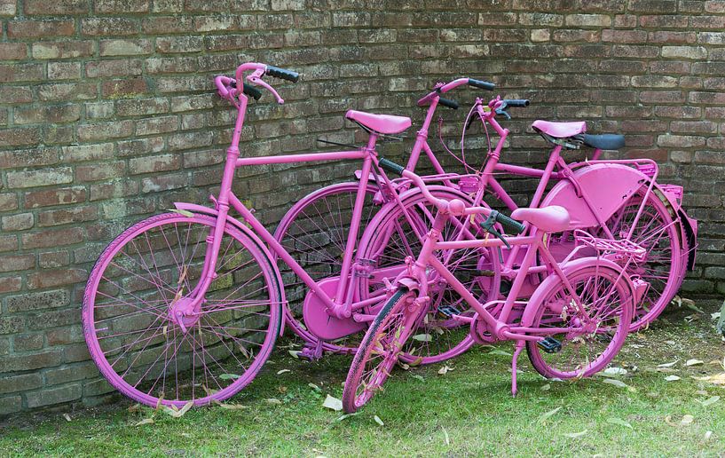 pink painted bikes and old wall van ChrisWillemsen