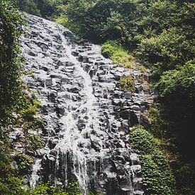 Chute d'eau dans la forêt tropicale sur Ennio Brehm