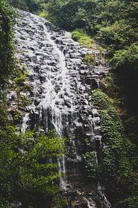 Wasserfall im Regenwald