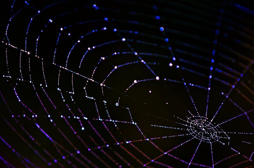 Web Art van Jessica Berendsen
