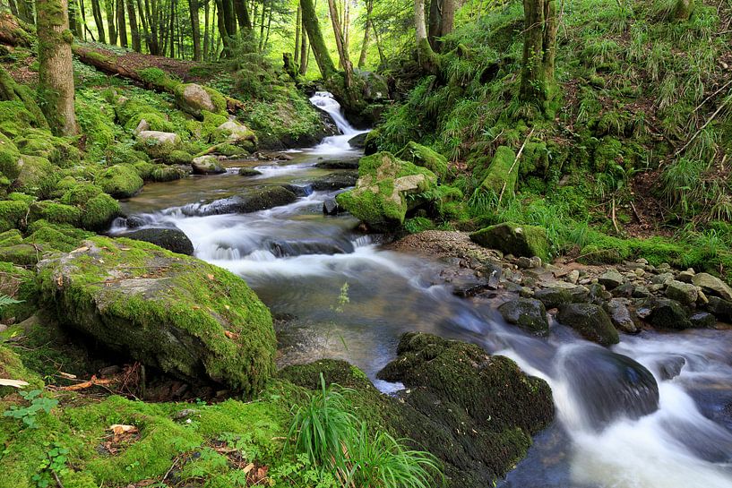 Waterval van Jelmer Reyntjes