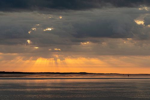 Zonsopkomst op het Wad - Natuurlijk Wadden