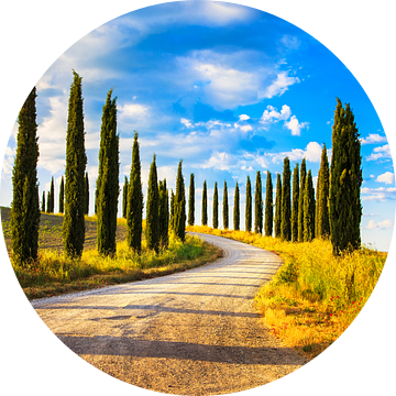 Landweg met cipressen. Toscane