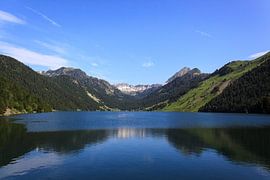 Pyrénées - Oule von Romain Dreux