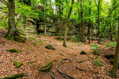 Mullerthal Trail III