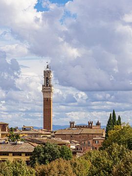 Uitzicht over de oude stad van Siena in Italië van Rico Ködder