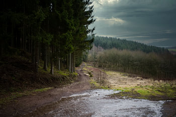 Paysage de collines dans les Ardennes