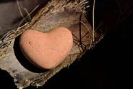 a heart of clay by Ulrike Leone thumbnail