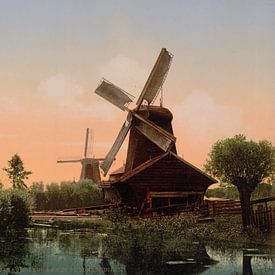 Moulins à vent sur la Noordendijk, Dordrecht sur Vintage Afbeeldingen