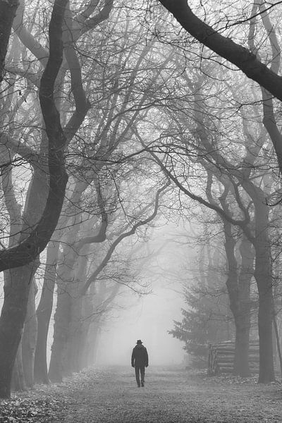 Wanderer im Wald von Peter Haastrecht, van