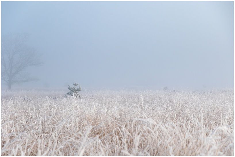 humeurs hivernales par Hetwie van der Putten