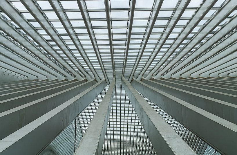 Lignes abstraites par Mischa Corsius