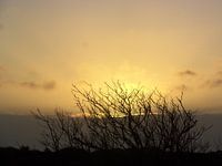 Ondergaande zon op Terschelling /setting sun