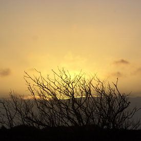 Ondergaande zon op Terschelling /setting sun von Margriet's fotografie