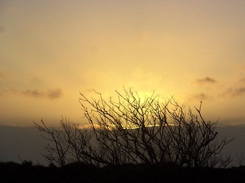 Ondergaande zon op Terschelling /setting sun