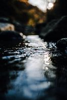 Water in the river in the evening light